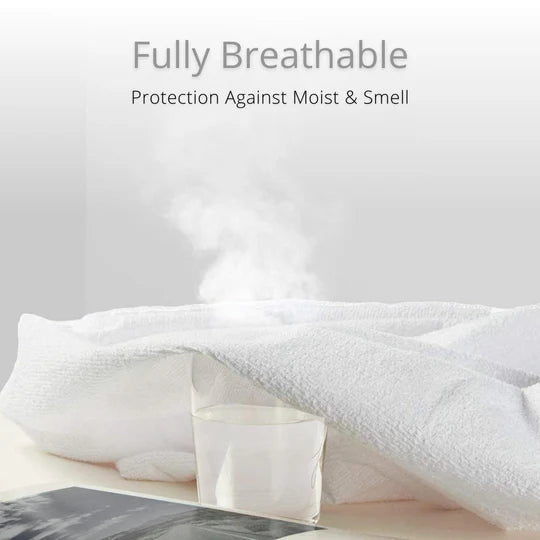Terry Pillow Protector (Pack of 2)
